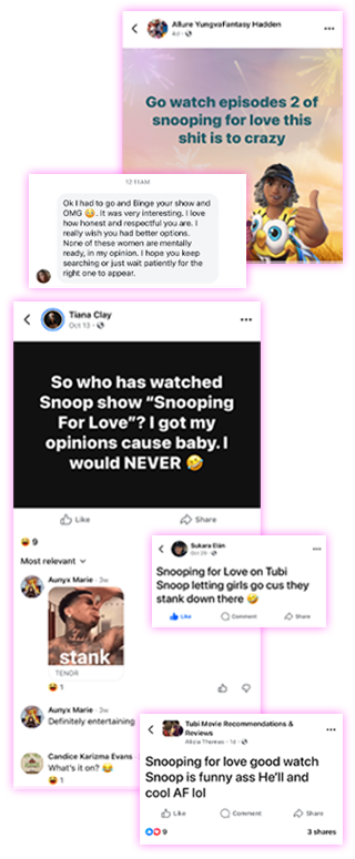 Snooping for Love Reviews